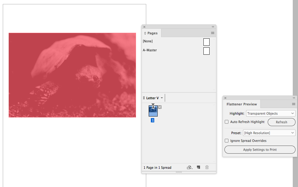 Screen Shot 7.png